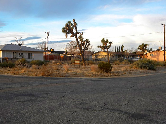 Ronald Avenue