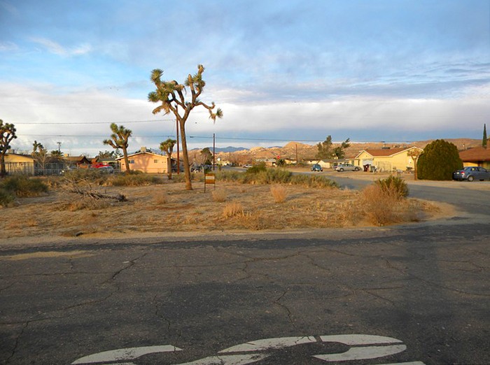 Ronald Avenue