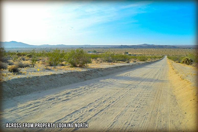 Arizona Avenue