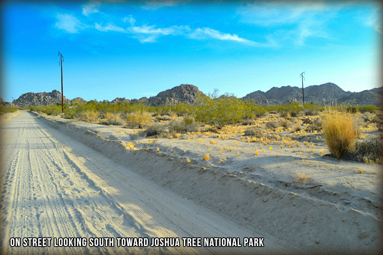 Arizona Avenue
