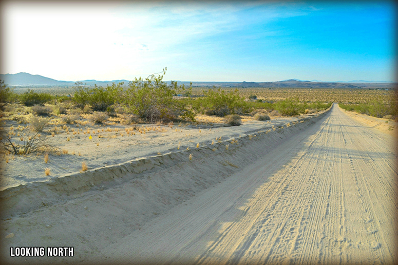 Arizona Avenue