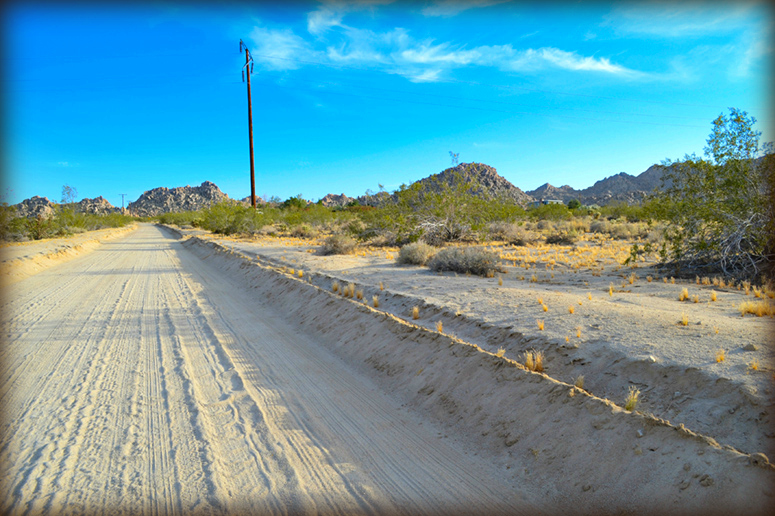 Arizona Avenue