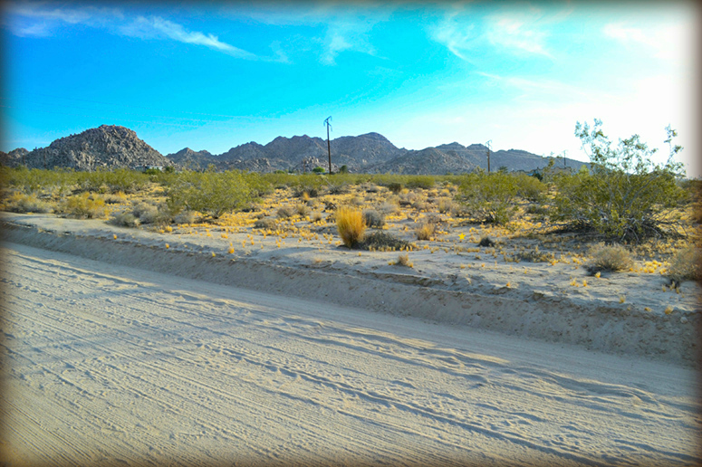 Arizona Avenue