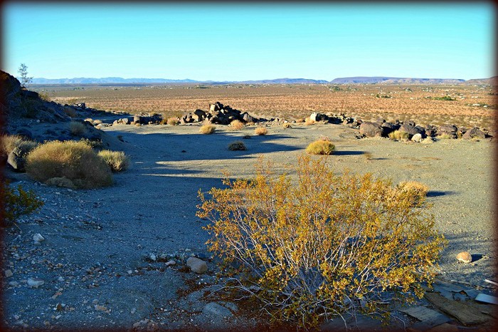 Richardson Road