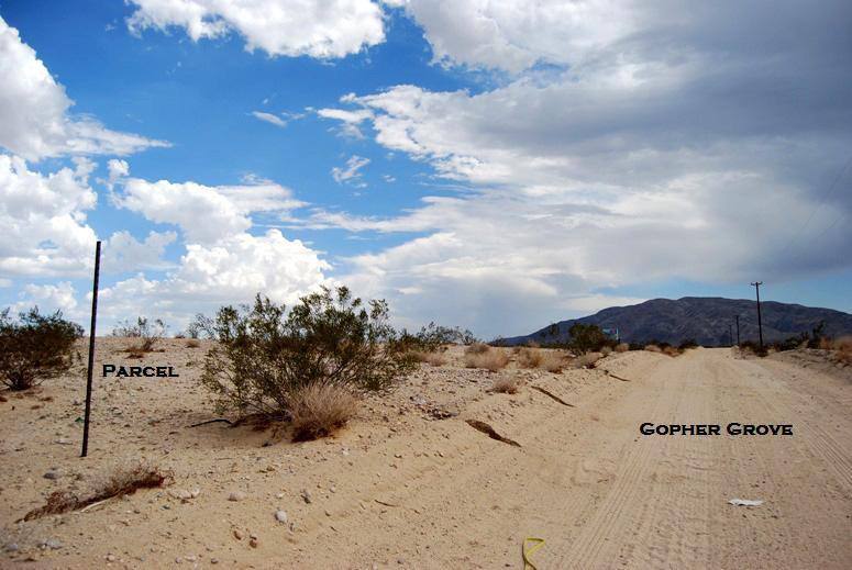 Wonder Valley Acreage For Sale