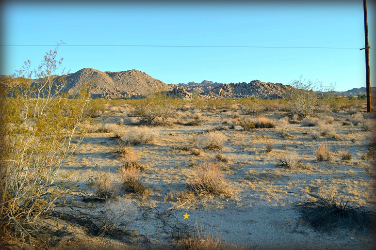 Cottonwood Drive