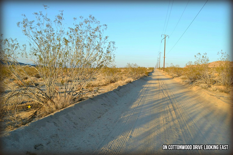 Cottonwood Drive