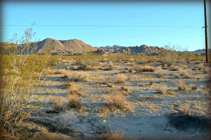 Cottonwood Drive