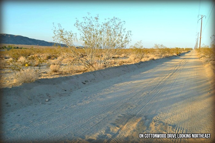 Cottonwood Drive