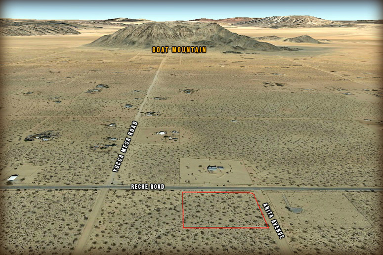 Anita Avenue