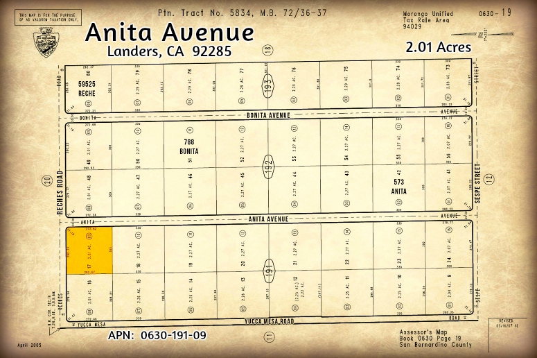 Anita Avenue