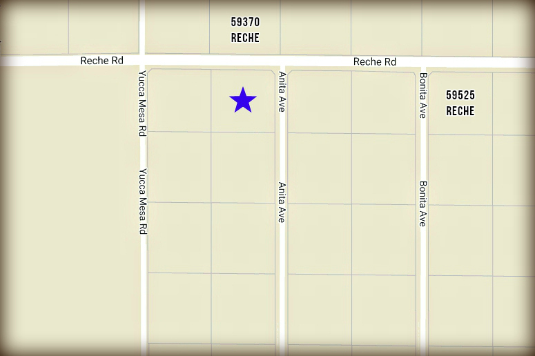 Anita Avenue