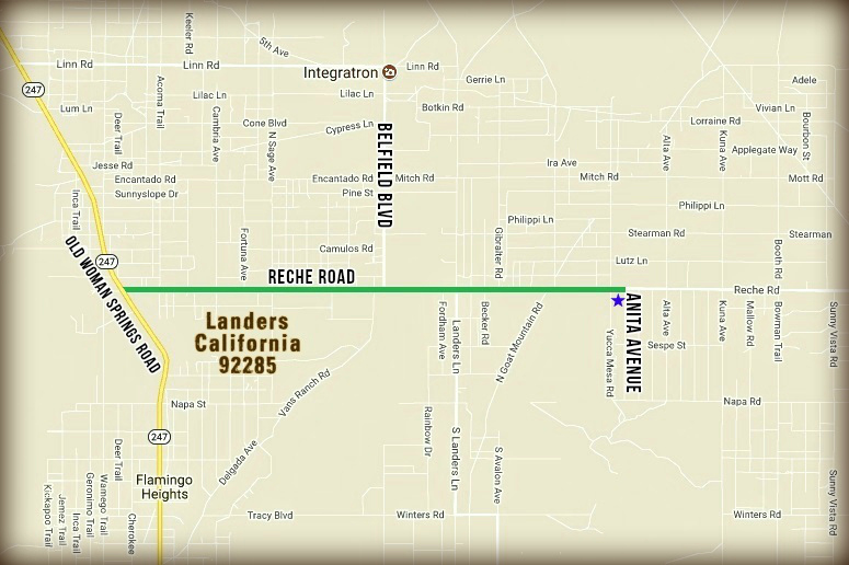 Anita Avenue