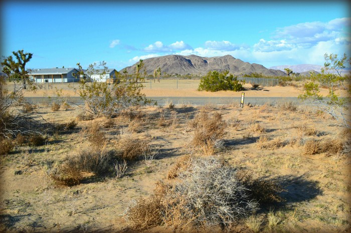 Anita Avenue