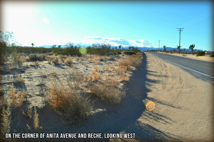 Anita Avenue