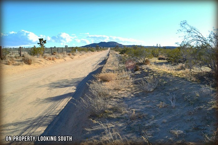Anita Avenue