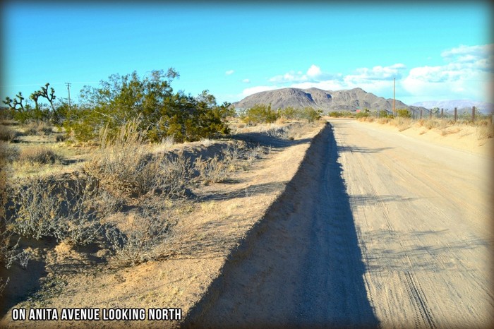 Anita Avenue