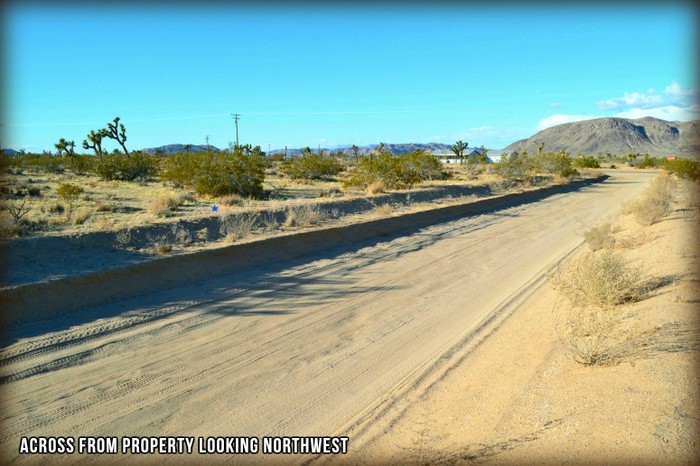 Anita Avenue