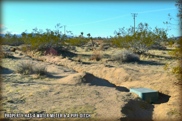 Anita Avenue