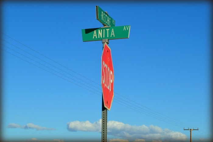 Anita Avenue