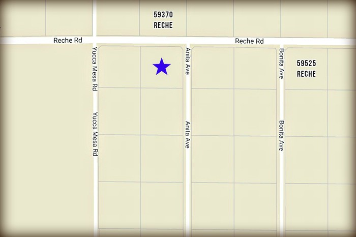 Anita Avenue