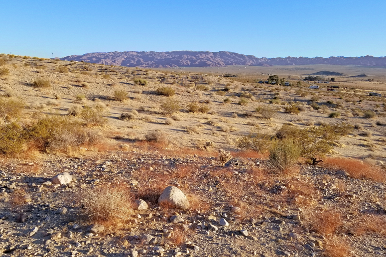 Twentynine Palms Land For Sale