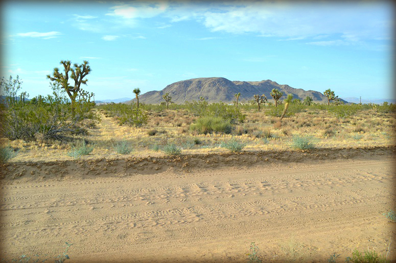 Landers Acreage For Sale