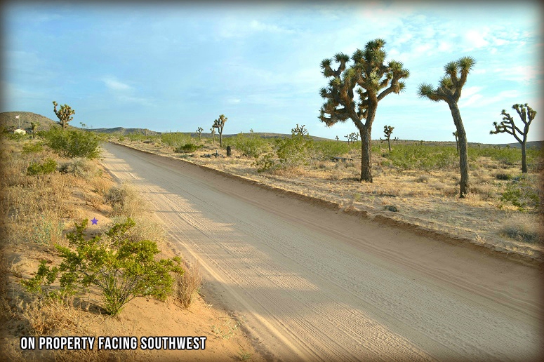 Yucca Mesa Road