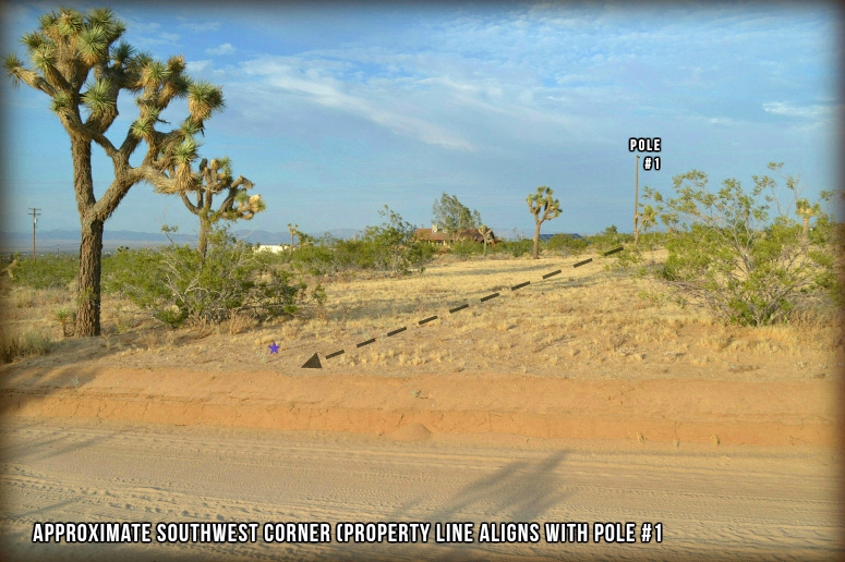 Yucca Mesa Road