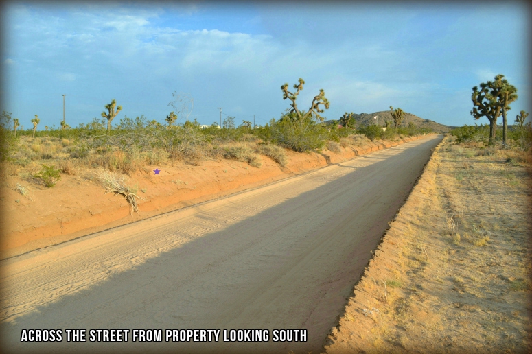 Yucca Mesa Road