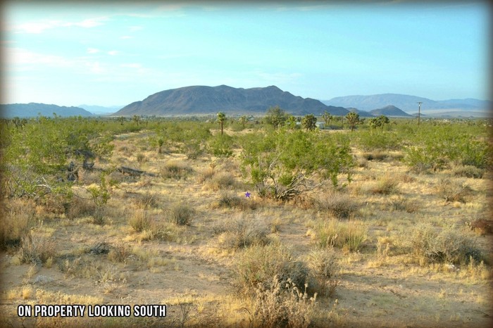 Yucca Mesa Road