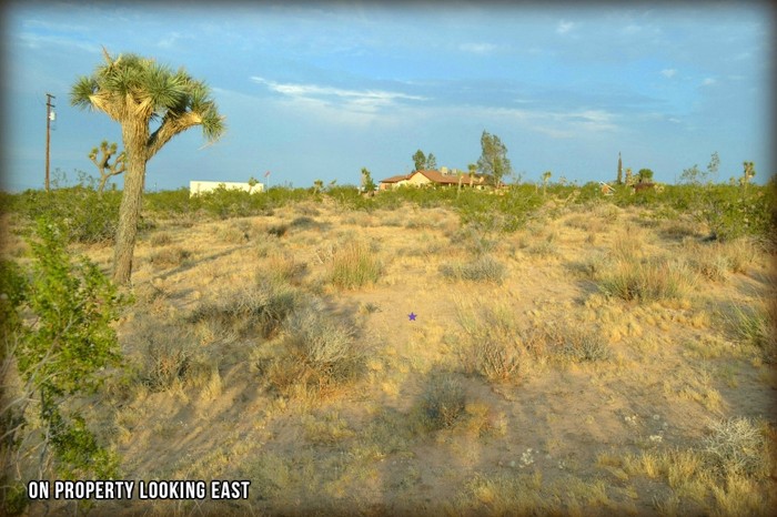 Yucca Mesa Road