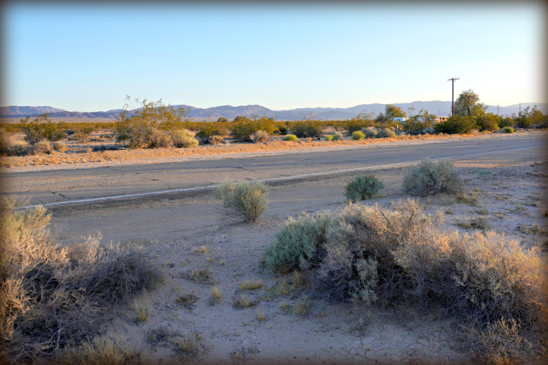 Wonder Valley Land For Sale