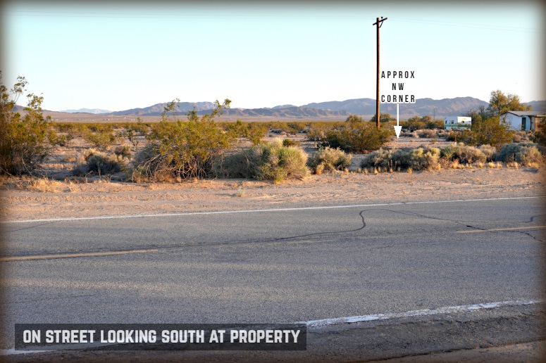 Amboy Road