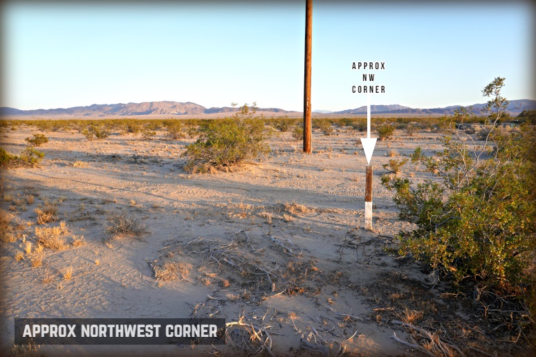 Amboy Road