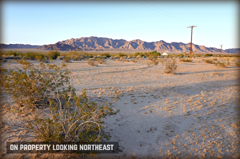 Amboy Road