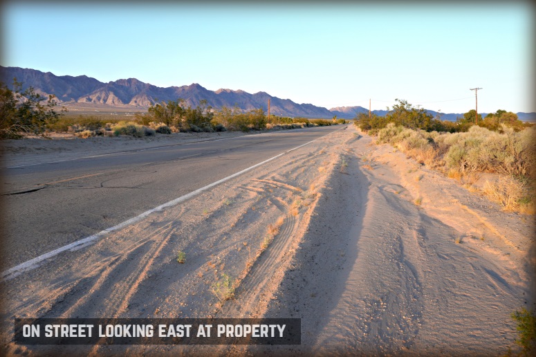 Amboy Road