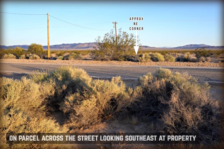 Amboy Road