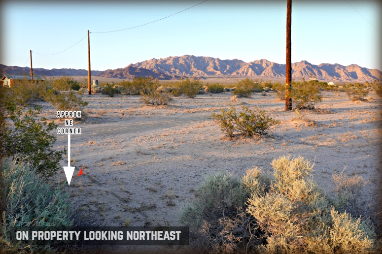 Amboy Road