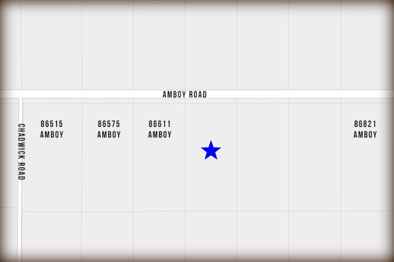 Amboy Road