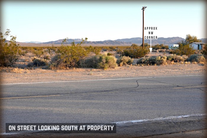 Amboy Road