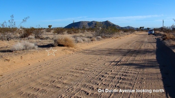 Ducor Avenue