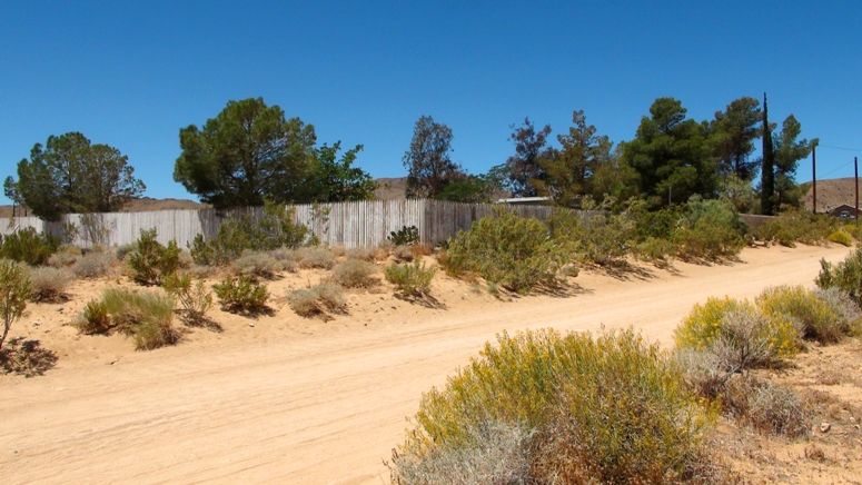 Landers Homestead Cabin For Sale