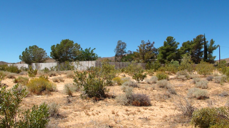 55761 Sunnyslope Drive