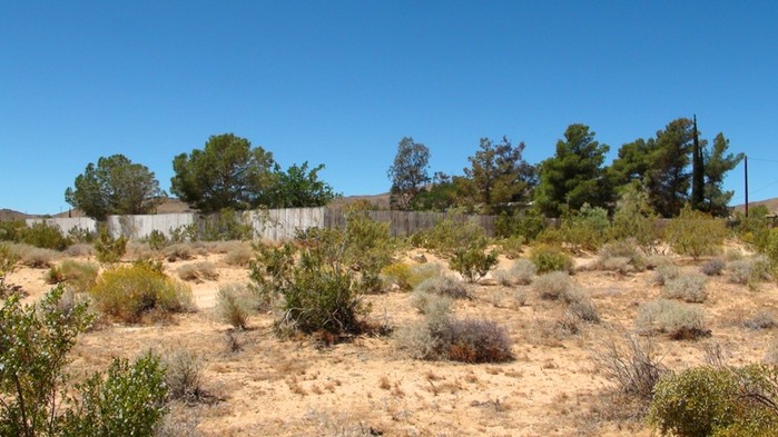 55761 Sunnyslope Drive