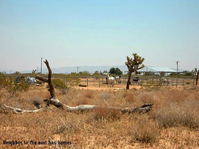Stearman Road