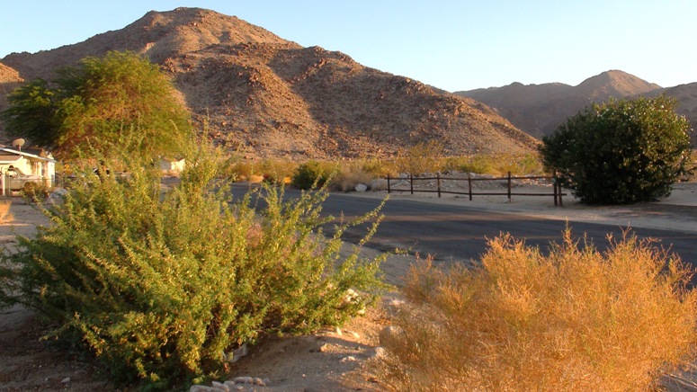 Manzanita Avenue