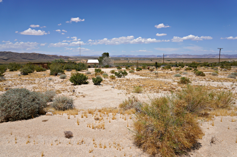 Twentynine Palms Land For Sale