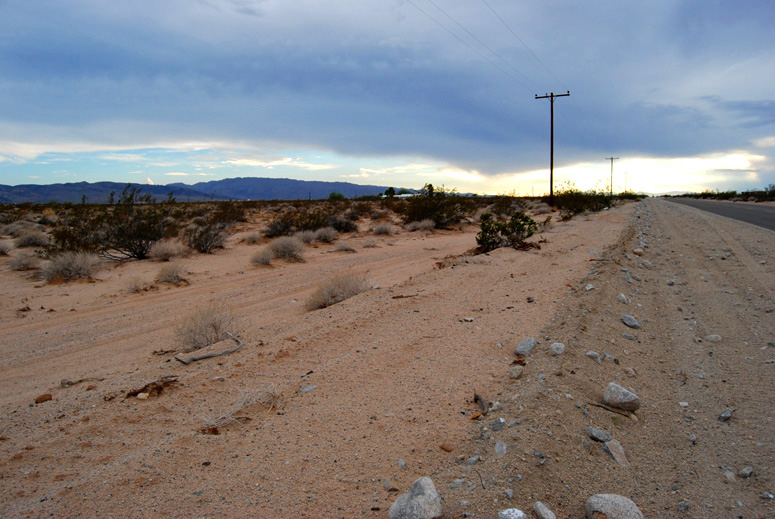 Amboy Road