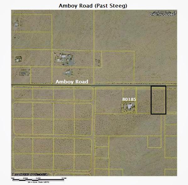 Amboy Road